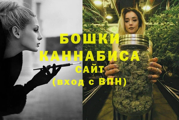 винт Горно-Алтайск