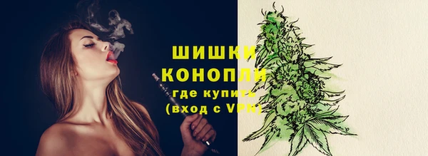 apvp Горнозаводск