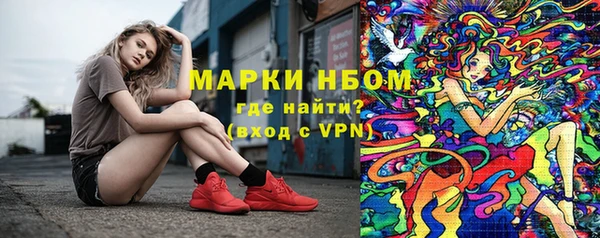 apvp Горнозаводск