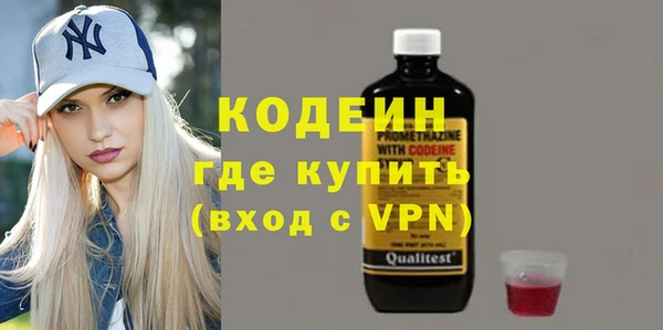 сатива Сатка