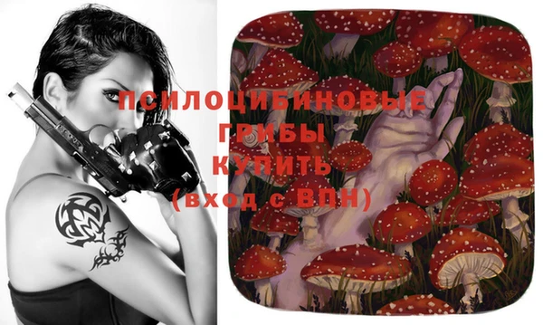 винт Горно-Алтайск