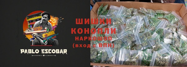 винт Горно-Алтайск