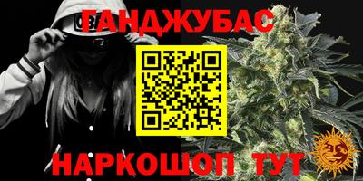 спиды Кингисепп