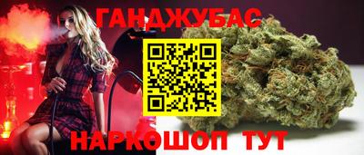 спиды Кингисепп