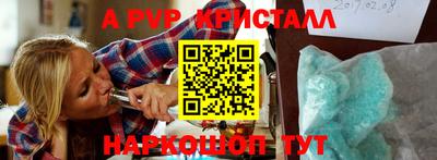 спиды Кингисепп