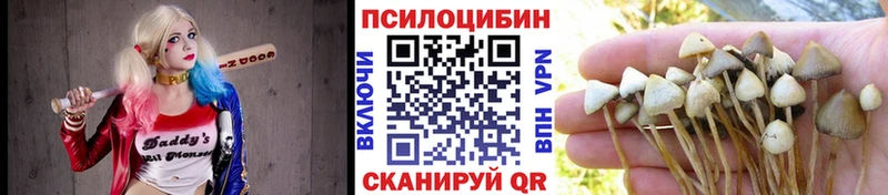 Галлюциногенные грибы ЛСД  как найти закладки  Рузаевка 