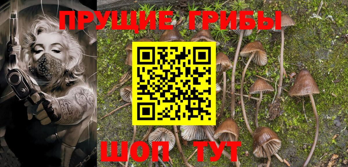 Галлюциногенные грибы мицелий  Рузаевка 