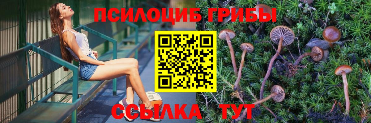 Галлюциногенные грибы Psilocybe  даркнет сайт  Псилоцибиновые грибы Psilocybine cubensis  Рузаевка  Вход с VPN 